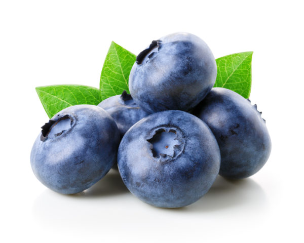 Blueberry Juice Concentrate, Wild 65 Brix (BBJC65F-L0W1-PA55)  in Pails