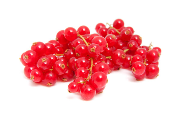 Organic Elderberry Juice Concentrate 65 Brix (EBJC65F-LZ01-PA55)  in Pails