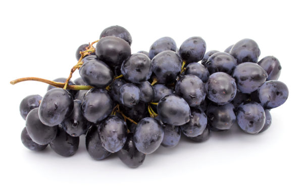 Grape Juice Concentrate, Purple 8000 Color 68 Brix (GRJC68F-L0P1-PA56)  in Pails
