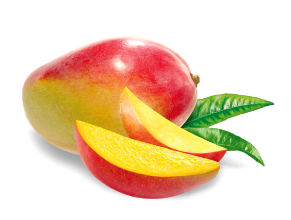 Organic Mango Juice Concentrate Clarified 65 Brix (MAJC65F-LZ01-PA55)  in Pails